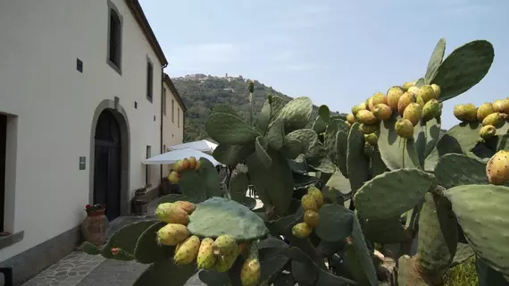 Casali di Margello | Sicilya - Messina (vilayet) - San Salvatore di Fitalia