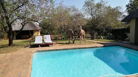 Royal Kruger Lodge | Mpumalanga - Nkomazi - Marloth Park