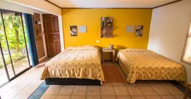 La Casona Hostel | Guanacaste - Coco