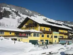 Familienhotel Heisenhof | Tirol - Kitzbühel District - Kitzbuehel (ve civarı) - Brixen im Thale - Moosen