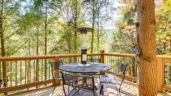 Moonshine Rapids Cabin | Georgia - Blue Ridge (ve civarı) - Ellijay