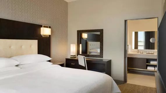 Embassy Suites by Hilton Syracuse Destiny USA | New York - Syracuse (ve civarı) - Syracuse