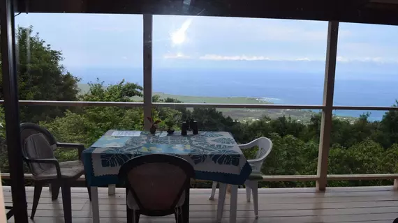 A Beautiful Edge of the World B&B | Hawaii - Hawaii Adası - Captain Cook