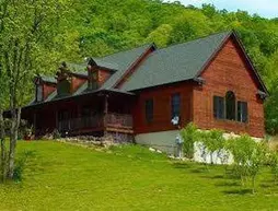 Lost Forest Bed and Breakfast | Batı Virginia - Mathias