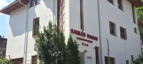 Saules namai | Vilnius (ve civarı) - Vilnius