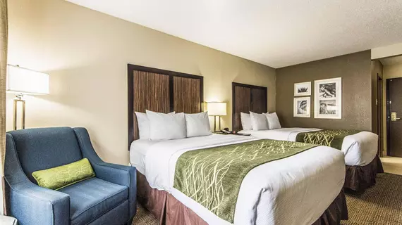 Comfort Inn North Dallas Near the Galleria | Teksas - Dallas (ve civarı) - Dallas - Park Central