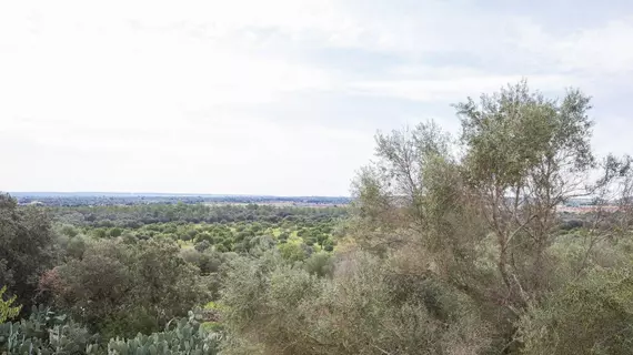 Son Veny | Balearic Adaları - Mayorka Adası - Pla de Mallorca