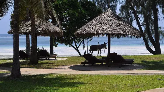 Afrika Pearl &amp; Spa | Kwale İlçesi - Mombasa (ve civarı) - Diani Plajı