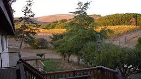 Point Reyes Vineyard Inn | Kaliforniya - Marin County - Point Reyes İstasyonu