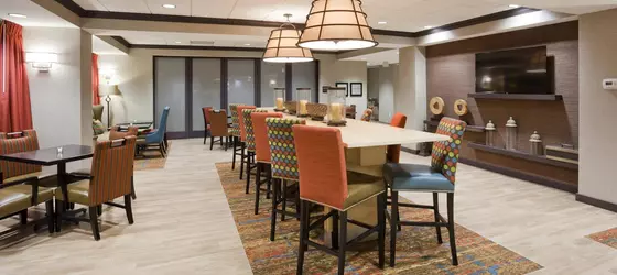 Hampton Inn MinneapolisRoseville | Minnesota - Minneapolis - St. Paul (ve civarı) - Roseville