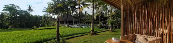 Mathis Retreat | Bali - Ubud - Kedewatan