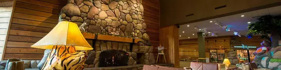 Great Wolf Lodge Garden Grove/Anaheim | Kaliforniya - Orange County - Anaheim - Anaheim Resort