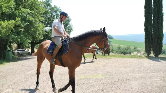 Agriturismo Fattoria Casabianca | Toskana - Siena (vilayet) - Murlo