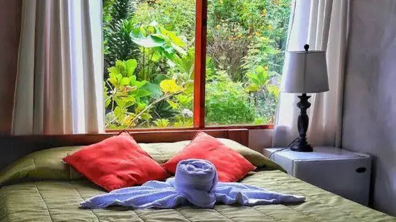 Hotel El Bosque | Puntarenas (ili) - Monteverde