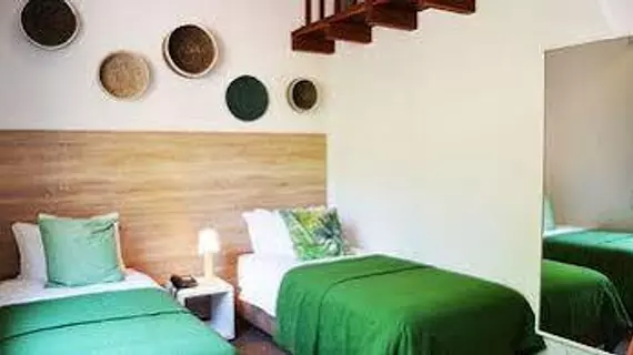 Vale Fuzeiros Nature Guest House | Algarve - Faro Bölgesi - Silves