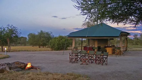 Whistling Thorn Camp | Manyara Bölgesi - Tarangire Ulusal Parkı