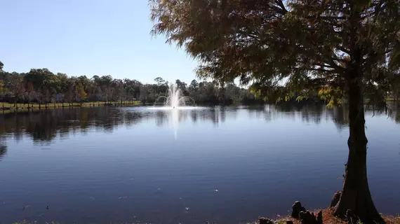 Sherwood Forest RV Resort | Florida - Orlando (ve civarı) - Lake Buena Vista - Disney's Maingate East