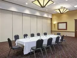 Holiday Inn Chicago Matteson Conference Center | İllinois - Matteson