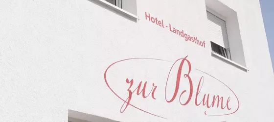 Hotel Landgasthof Blume | Baden-Wuerttemberg - Lichtenau-Scherzheim - Scherzheim