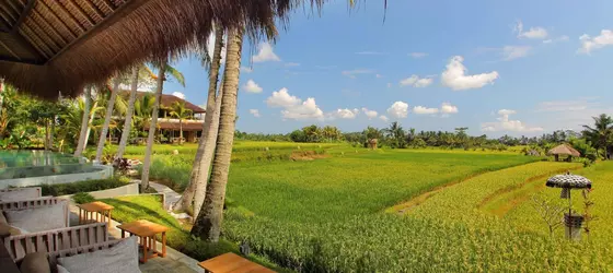 Mathis Retreat | Bali - Ubud - Kedewatan