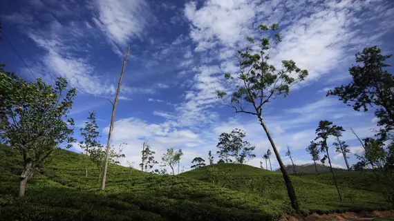 Ella Eco Lodge | Badulla Bölgesi - Ella