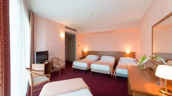 Airport Hotel Bergamo | Lombardy - Bergamo - Bergamo (ve civarı) - Bagnatica