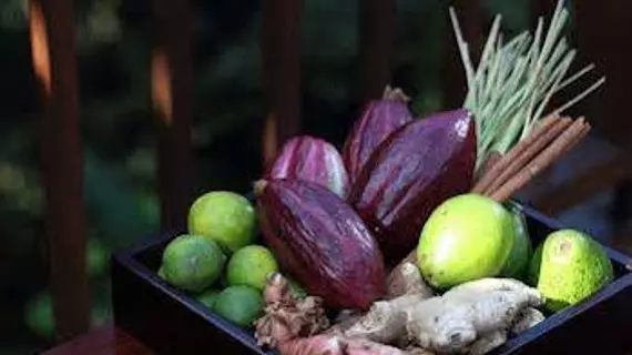 Hanging Gardens Ubud | Bali - Gianyar - Payangan