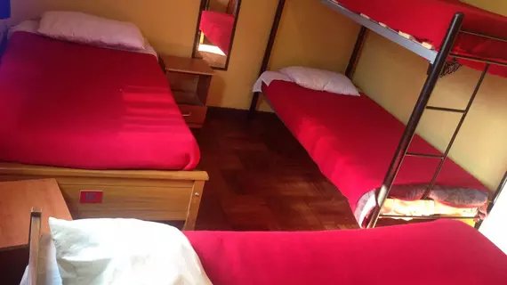 Traveller's Place Hostel | Santiago - Santiago (ve civarı) - Santiago - Barrio Brasil