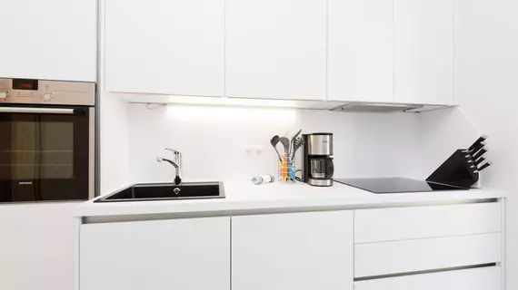 Jupiter Apartment Dorotheergasse | Vienna (eyalet) - Viyana - Innere Stadt