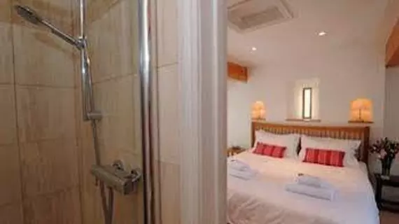 Bodhi House Bed and Breakfast | Somerset - Bath (ve civarı) - Bath