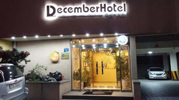 December | Jeju Adası - Jeju - Yeon-dong