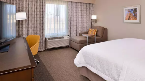 Hampton Inn El Centro | Kaliforniya - Imperial County - El Centro (ve civarı) - El Centro