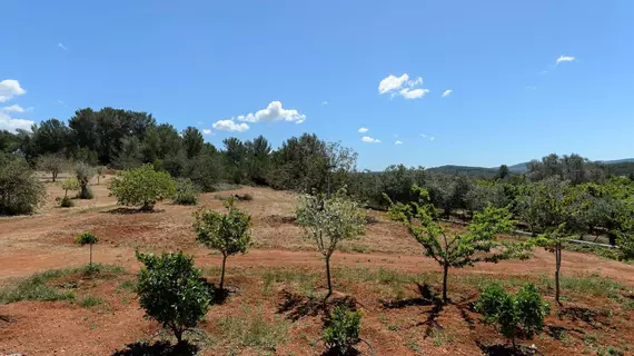 Can Vinyes | Balearic Adaları - İbiza Adası - Sant Antoni de Portmany