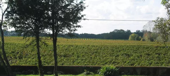 Chateau Rousselle | Nouvelle-Aquitaine - Gironde (bölge) - Saint-Ciers-de-Canesse