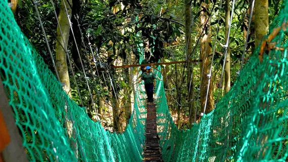 Borneo Tropical Rainforest Resort | Sarawak - Miri