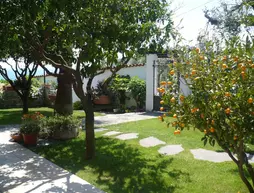 Azienda Agrituristica Villa Arianna | Liguria - Imperia (il) - Imperia