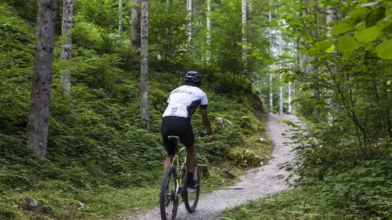 Hotel Kaiser in Tirol | Tirol - Kitzbühel District - Kufstein (ve civarı) - Scheffau am Wilden Kaiser