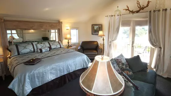 Carriage Vineyards Bed & Breakfast | Kaliforniya - San Luis Obispo (ve civarı) - Templeton