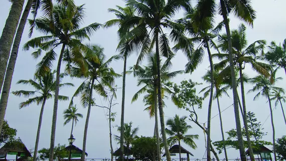 Blooming Bay - Clifftop Beach Resort | Kerala - Thiruvananthapuram Bölgesi - Varkala