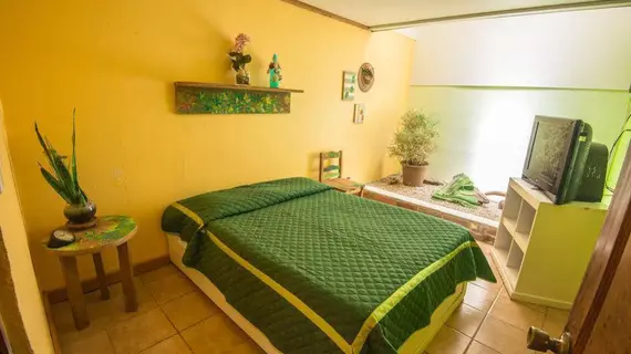 La Casona Hostel | Guanacaste - Coco