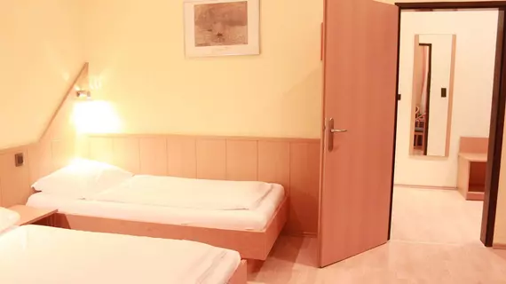 Hotel-Pension Wild | Vienna (eyalet) - Viyana