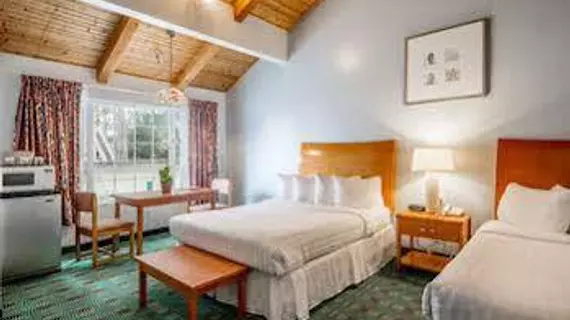 Butterfly Grove Inn | Kaliforniya - Monterey (ve civarı) - Pacific Grove