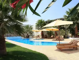 Elizabeth Suites | Girit Adası - Hanya (bölge) - Hanya - Kato Daratso