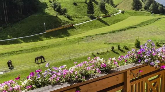 Hotel Bergkristall | Trentino-Alto Adige - Güney Tirol (il) - Brennero