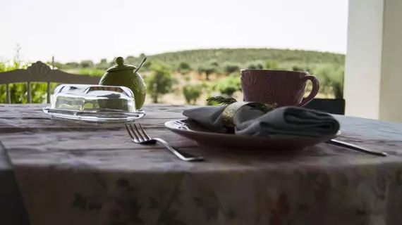 Monte da Estrela Country House and SPA | Alentejo - Beja Bölgesi - Moura