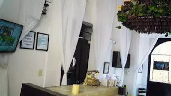 Hotel y Spa la Mansion del Burro Azul | Queretaro - Queretaro (ve civarı) - Queretaro - Queretaro Şehir Merkezi