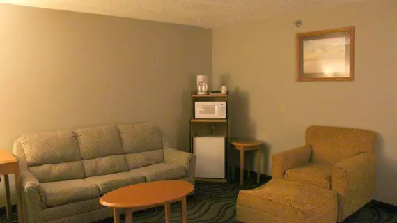 Mammoth Spring Lodge Motel | Missouri - West Plains (ve civarı) - Thayer