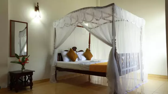 Flamingo Guesthouse | Southern Province - Galle Bölgesi - Unawatuna