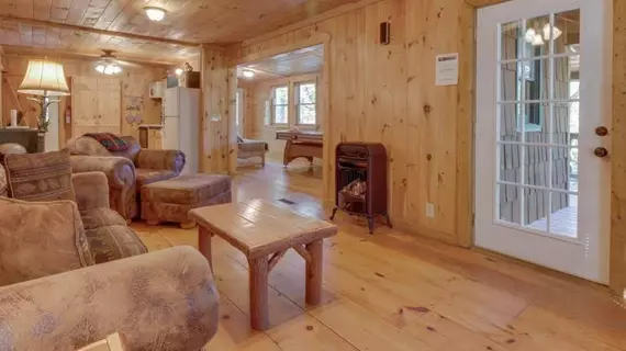 Cherokee Point Cabin | Georgia - Blue Ridge (ve civarı) - Ellijay