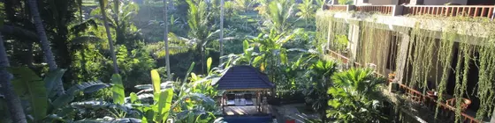 Alam Terrace Cottages | Bali - Ubud - Ubud Kent Merkezi